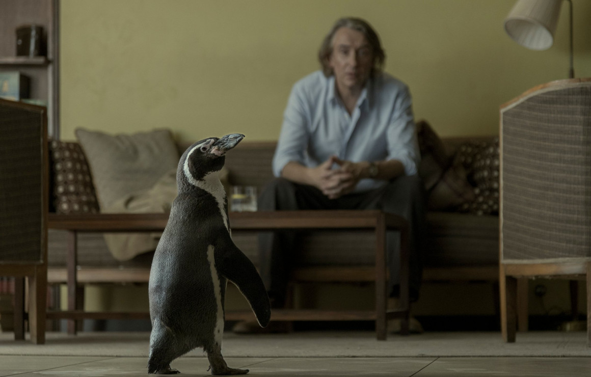The Penguin Lessons