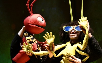 agenda - theater froefroe - zippi