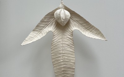 clara spilliaert