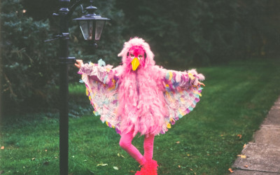 seiz.beeld_ANDRS_c_Jena_Ardell.jpg