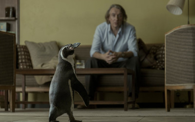The Penguin Lessons