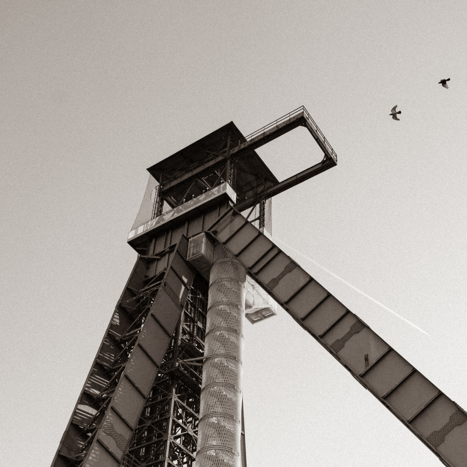 De Warmste Week fotowedstrijd