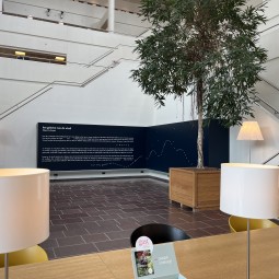Any Way the Wind Blows bibliotheek