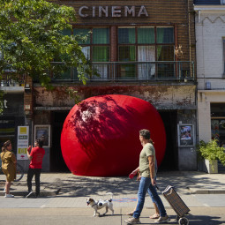 The red ball project